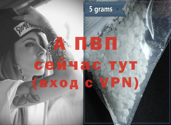 индика Нефтекумск
