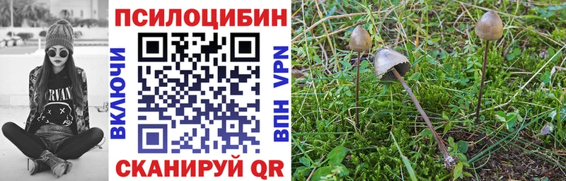 Псилоцибиновые грибы мухоморы Неман